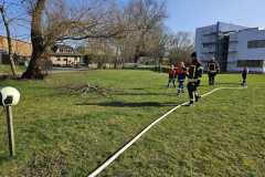 IMG-20240308-WA0012