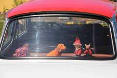 IMG-20230604-WA0117