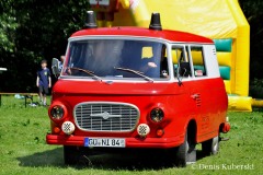 IFA_009