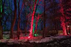 WhatsApp-Bild-2023-12-10-um-11.33.14_5d737f4e